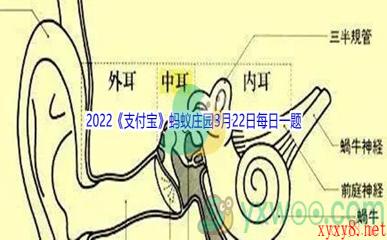 2022《支付宝》蚂蚁庄园3月22日每日一题答案