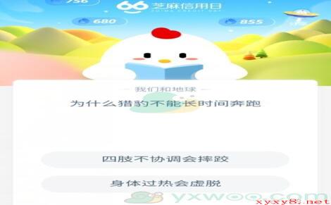 为什么猎豹不能长时间奔跑？