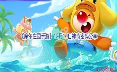 2021《摩尔庄园手游》12月10日神奇密码分享