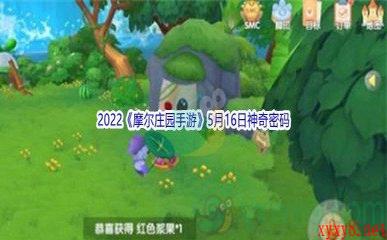 2022《摩尔庄园手游》5月16日神奇密码分享