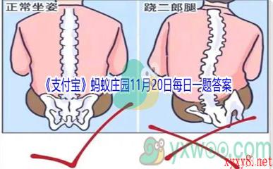 2021《支付宝》蚂蚁庄园11月20日每日一题答案(2)