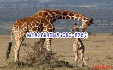 2022《支付宝》蚂蚁庄园11月19日每日一题答案(2)