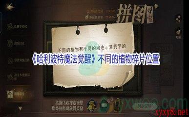 《哈利波特魔法觉醒》不同的植物碎片位置介绍