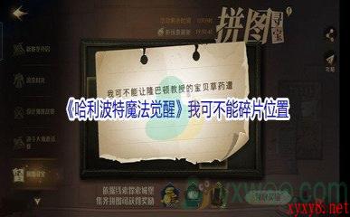 《哈利波特魔法觉醒》我可不能让隆巴顿教授碎片位置介绍