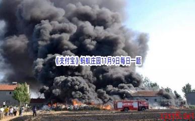 2022《支付宝》蚂蚁庄园11月9日每日一题答案