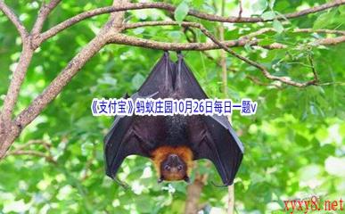 2022《支付宝》蚂蚁庄园10月26日每日一题答案