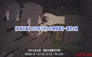 《火影忍者》2023年10月24日微信每日一题怎么选