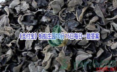 2021《支付宝》蚂蚁庄园10月16日每日一题答案(2)