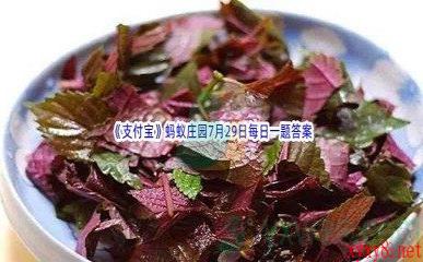 2022《支付宝》蚂蚁庄园7月29日每日一题答案