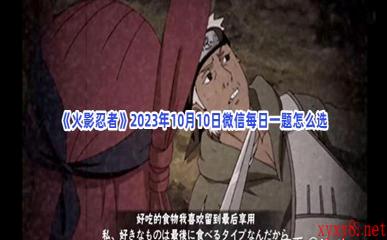 《火影忍者》2023年10月10日微信每日一题怎么选